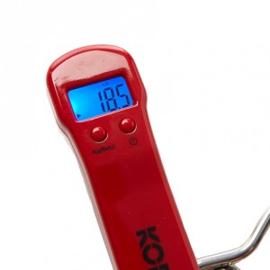 Dig scale high res71_462 x 440-